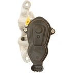 Jarrusatula sopii BMW