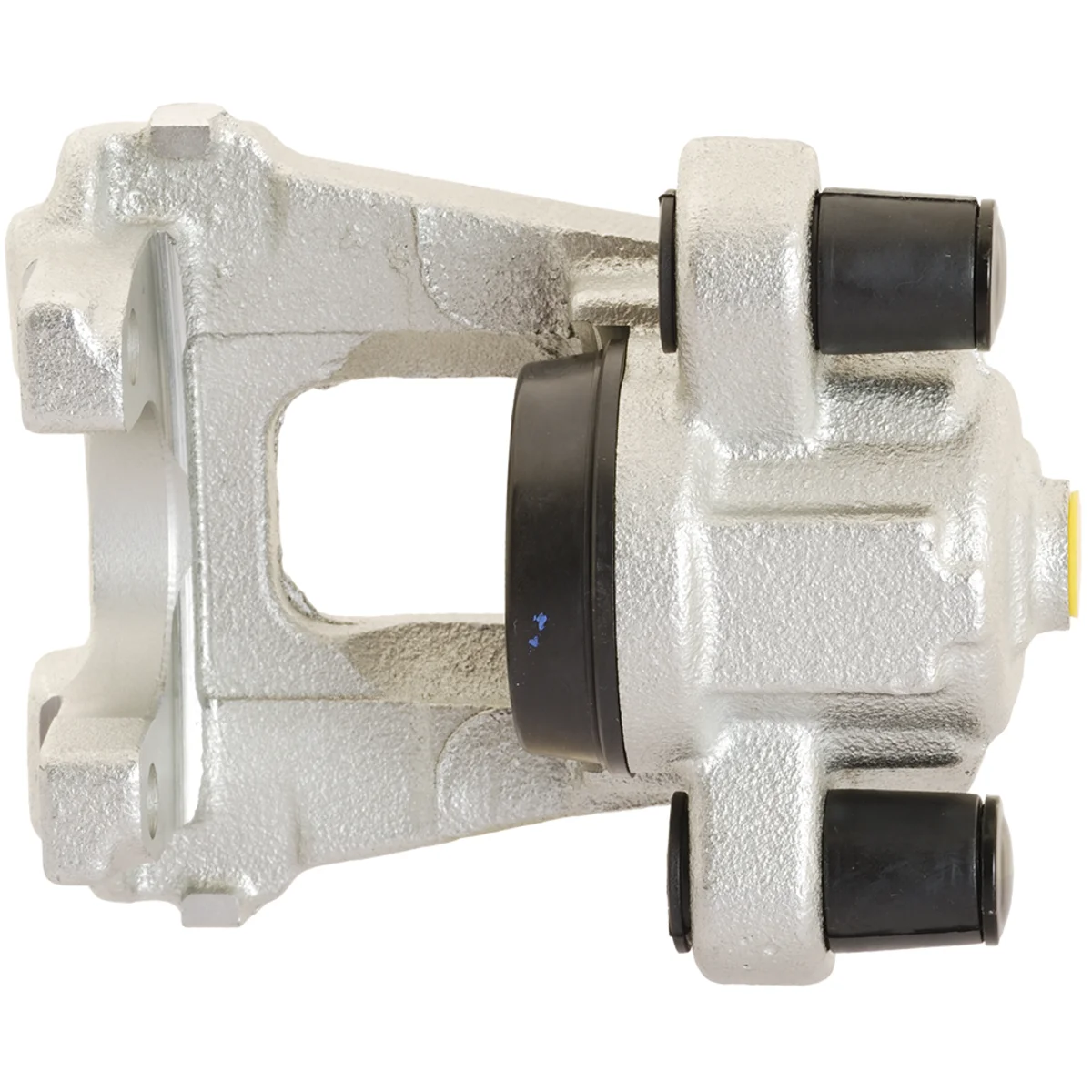 Jarrusatula sopii BMW