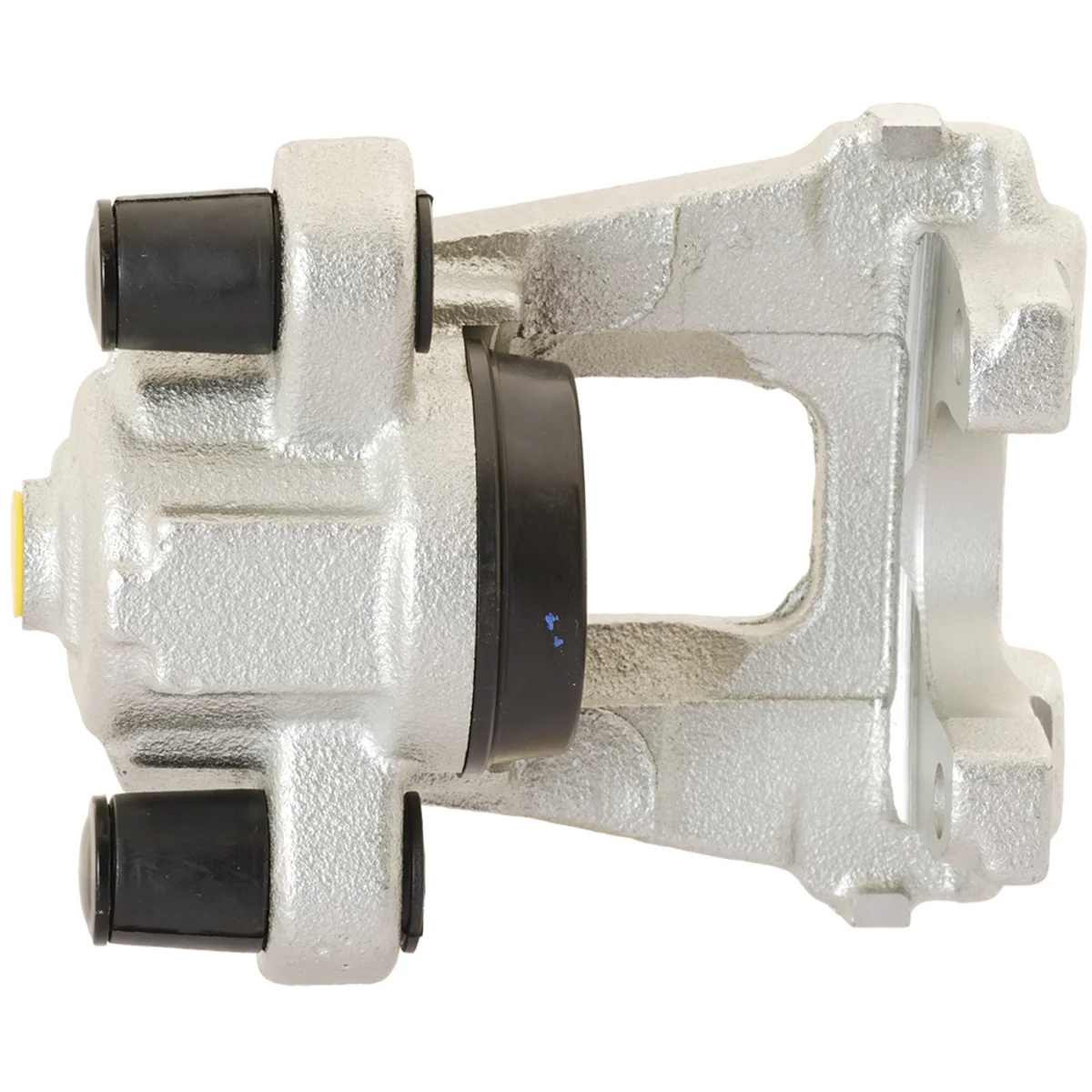 Jarrusatula sopii BMW