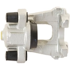 Jarrusatula sopii BMW