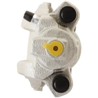 Jarrusatula sopii BMW