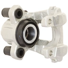 Jarrusatula sopii BMW