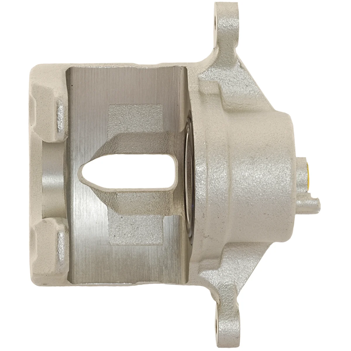 Jarrusatula sopii Hyundai