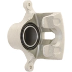 Jarrusatula sopii Hyundai