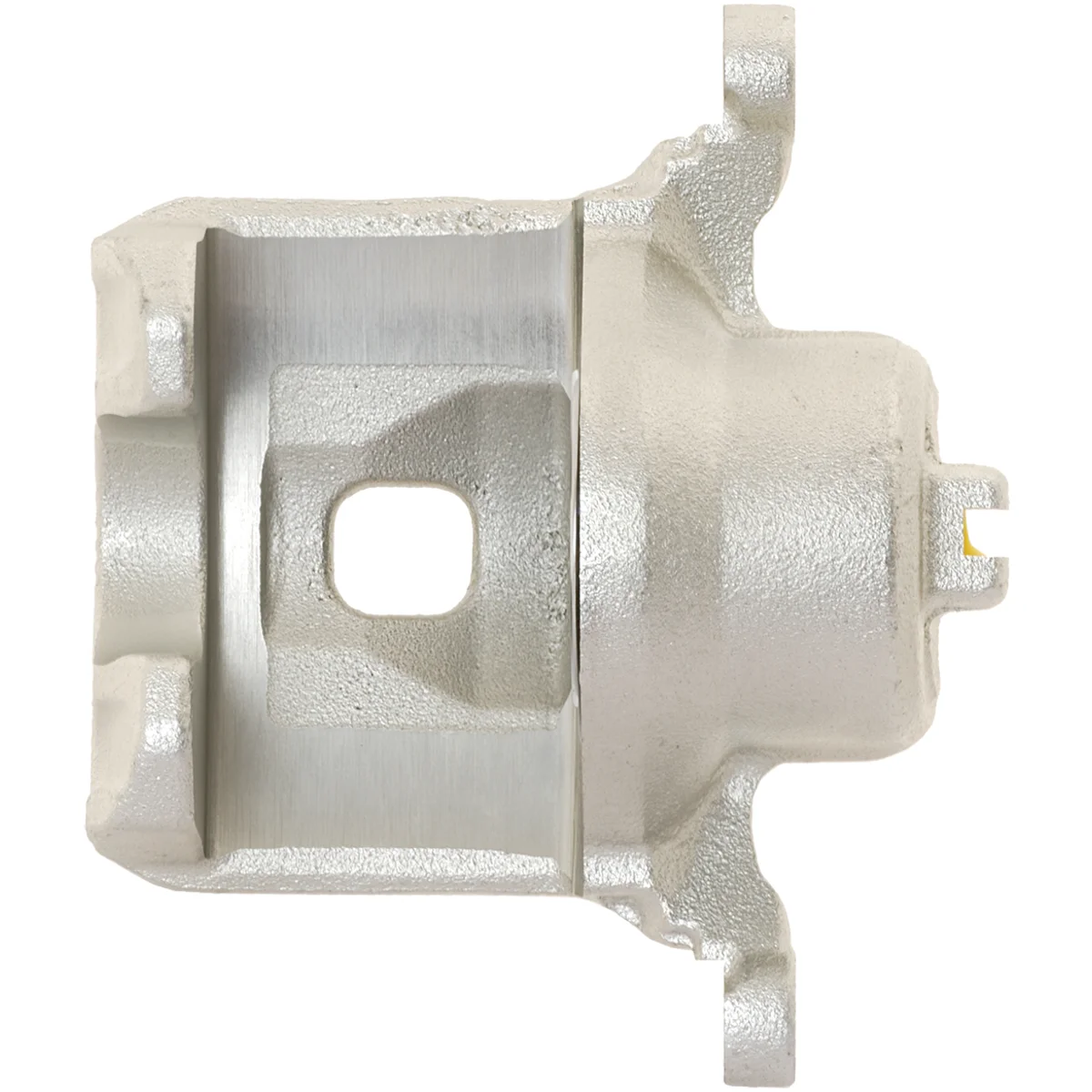 Jarrusatula sopii Nissan