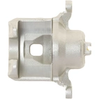 Jarrusatula sopii Nissan