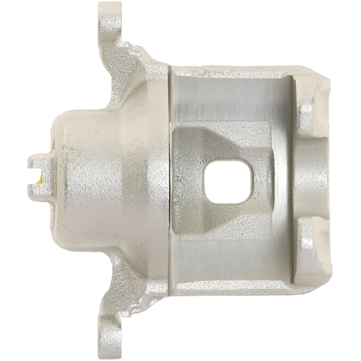 Jarrusatula sopii Nissan