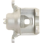 Jarrusatula sopii Nissan