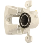 Jarrusatula sopii BMW / Mini