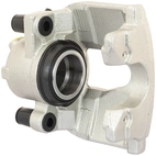 Jarrusatula sopii Renault