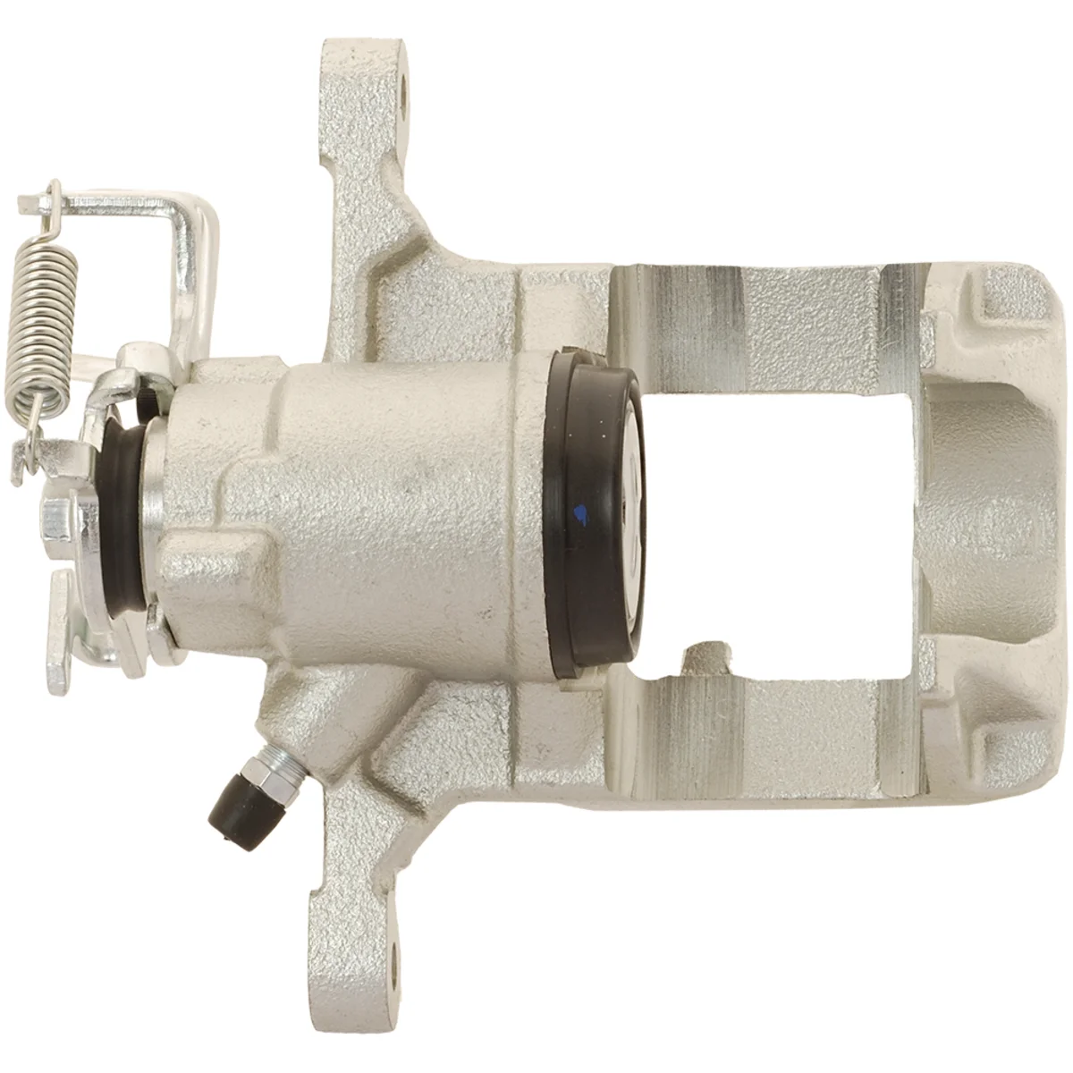 Jarrusatula sopii Opel