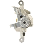 Jarrusatula sopii Opel