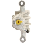 Jarrusatula sopii Hyundai