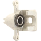 Jarrusatula sopii Hyundai