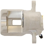 Jarrusatula sopii Toyota