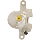 Jarrusatula sopii Toyota