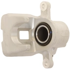 Jarrusatula sopii Toyota