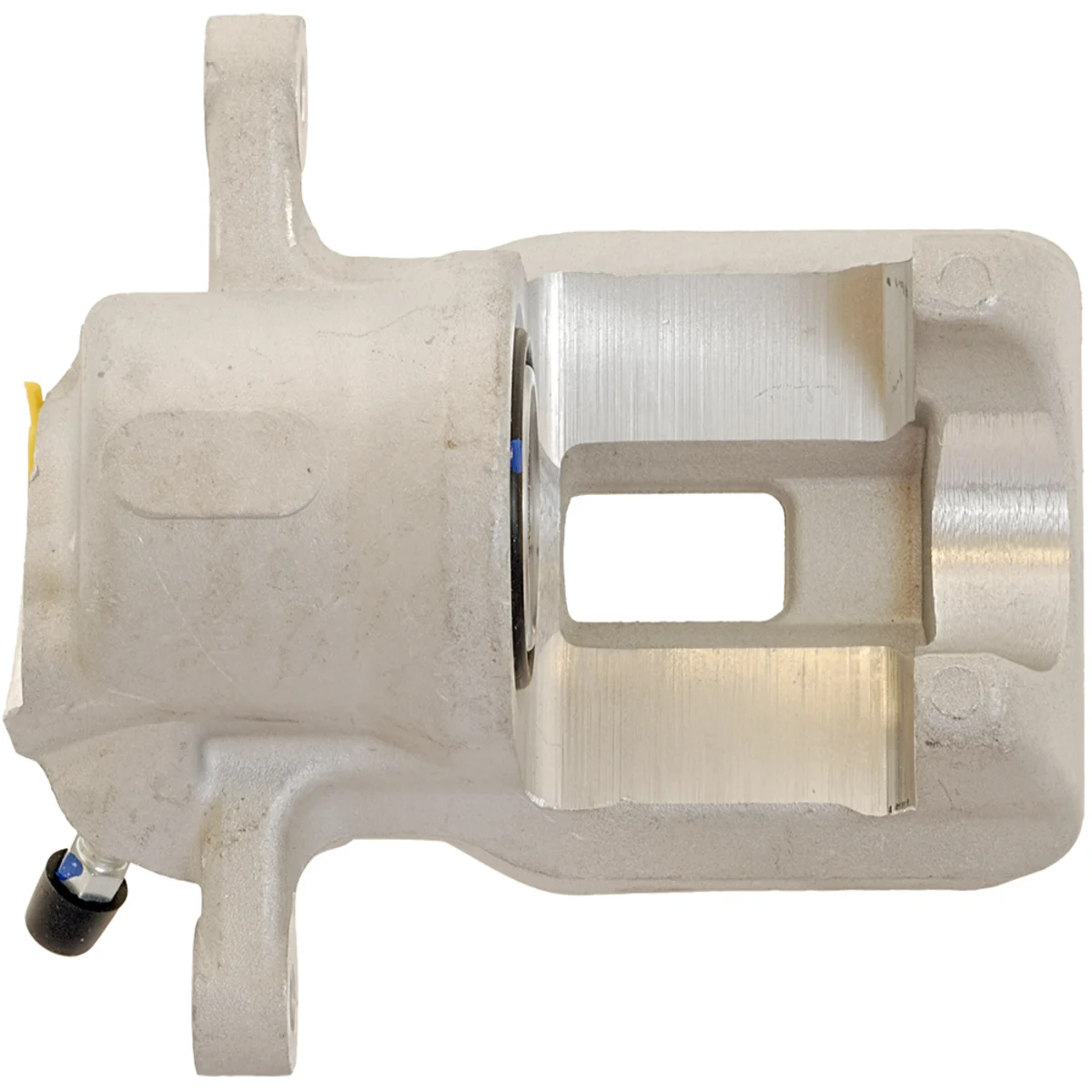 Jarrusatula sopii Toyota