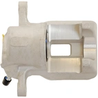 Jarrusatula sopii Toyota