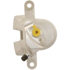 Jarrusatula sopii Toyota