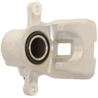 Jarrusatula sopii Toyota