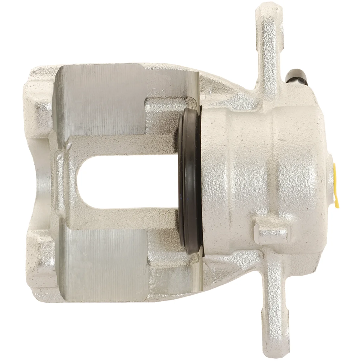 Jarrusatula sopii Nissan