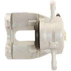 Jarrusatula sopii Nissan