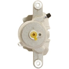 Jarrusatula sopii Nissan