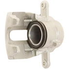 Jarrusatula sopii Nissan