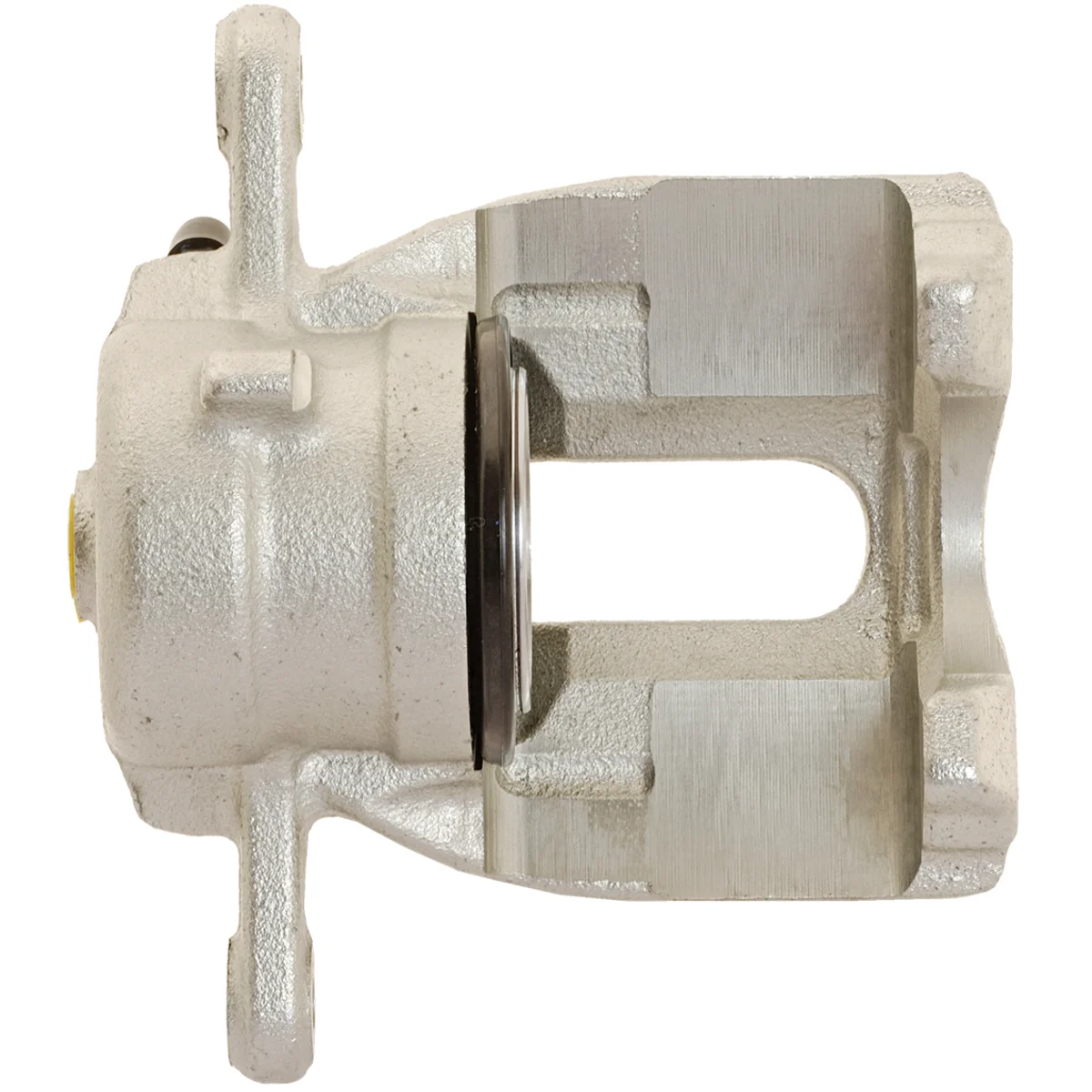 Jarrusatula sopii Nissan