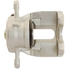 Jarrusatula sopii Nissan