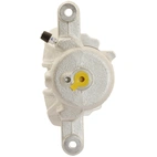 Jarrusatula sopii Nissan