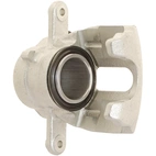 Jarrusatula sopii Nissan