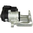 Jarrusatula sopii Audi / Seat