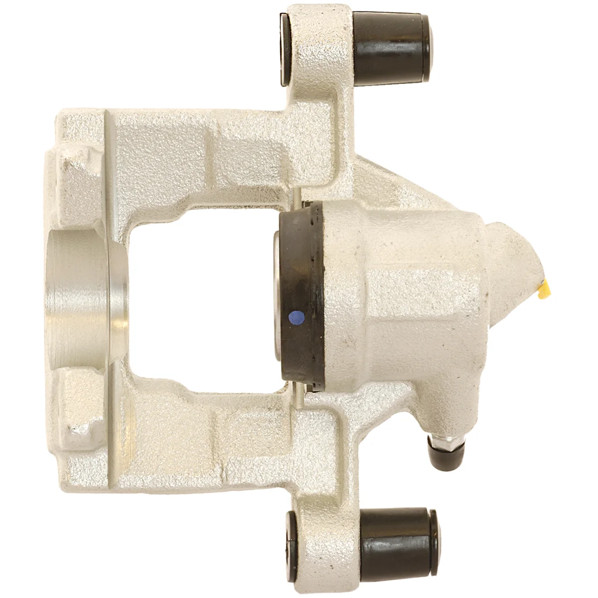 Jarrusatula sopii Mercedes