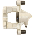 Jarrusatula sopii Mercedes