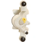 Jarrusatula sopii Mercedes