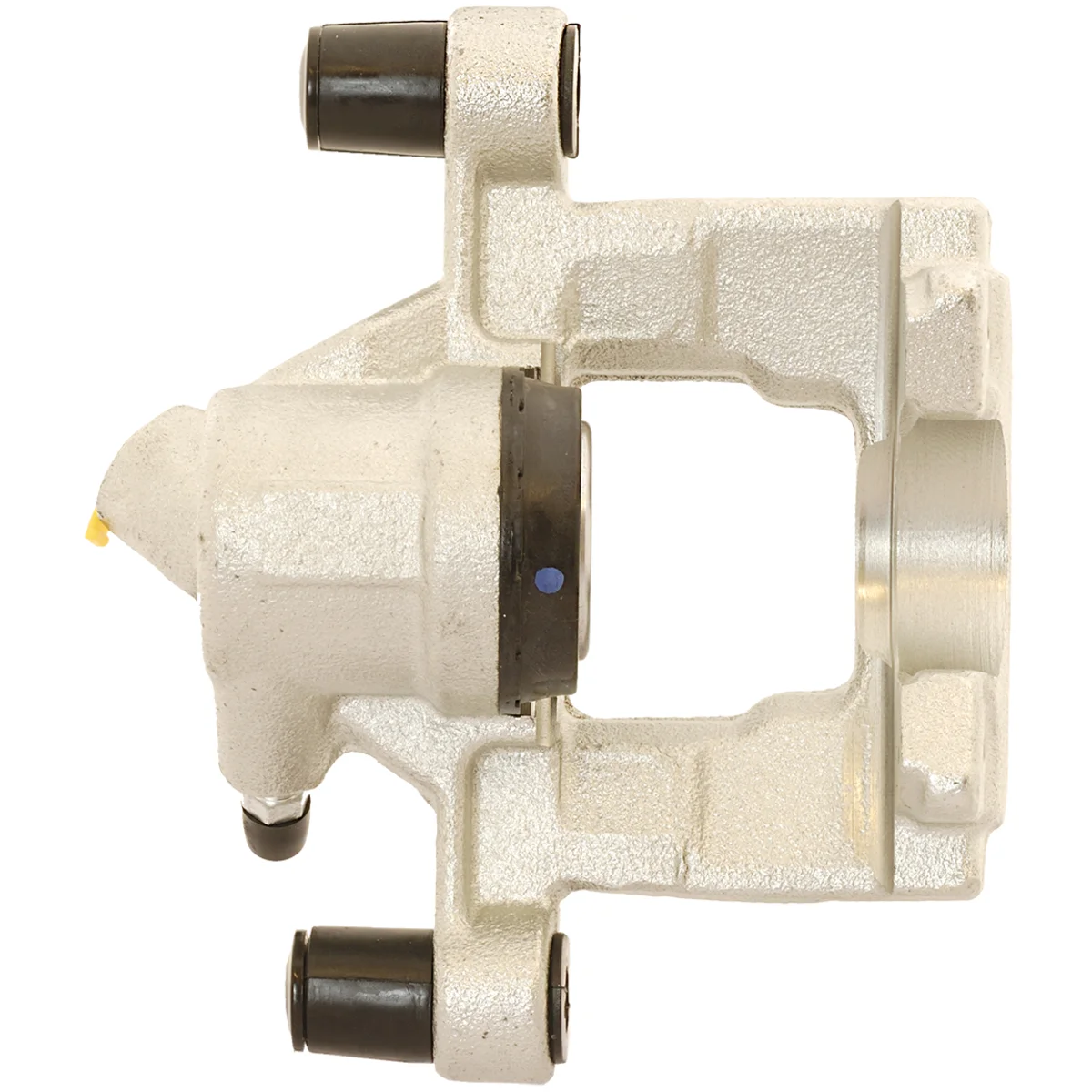 Jarrusatula sopii Mercedes