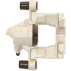 Jarrusatula sopii Mercedes