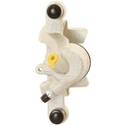 Jarrusatula sopii Mercedes