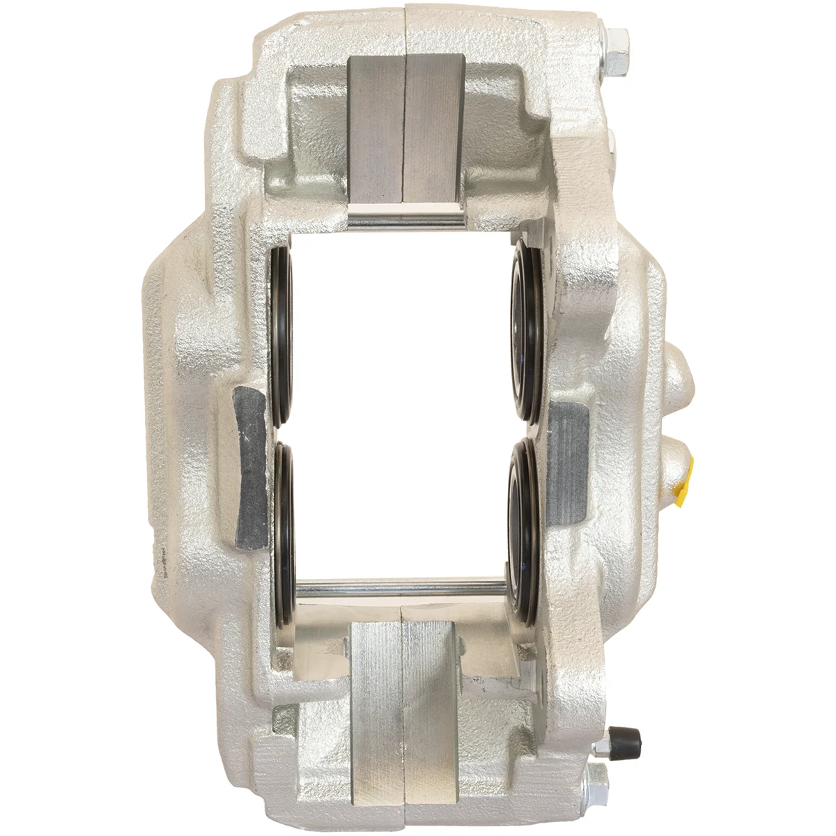 Jarrusatula sopii Toyota