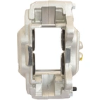 Jarrusatula sopii Toyota