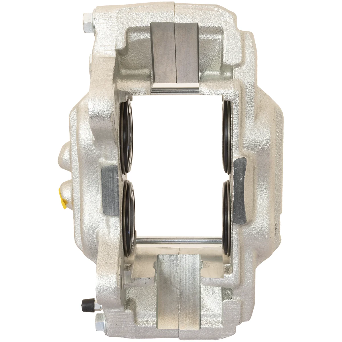 Jarrusatula sopii Toyota