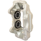 Jarrusatula sopii Toyota