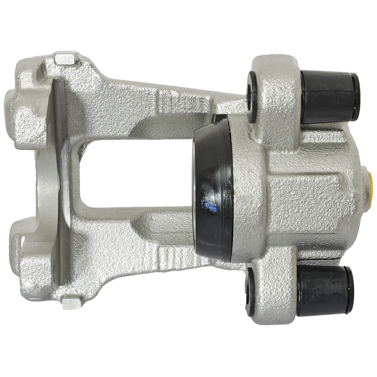 Jarrusatula sopii BMW