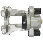 Jarrusatula sopii BMW