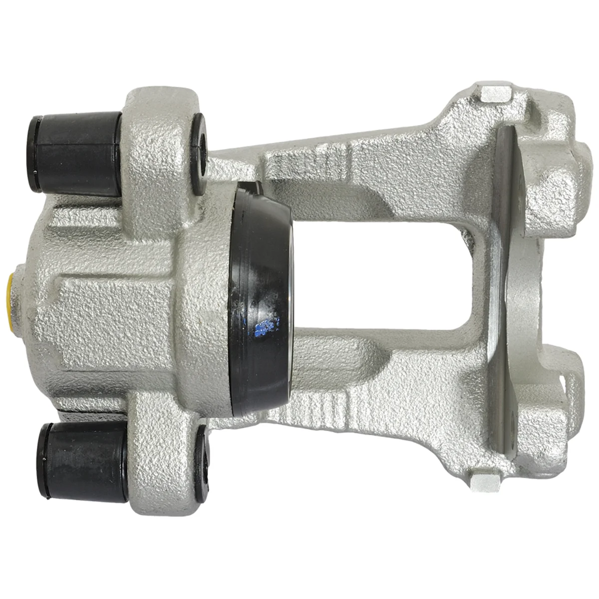 Jarrusatula sopii BMW