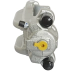 Jarrusatula sopii BMW