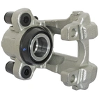 Jarrusatula sopii BMW