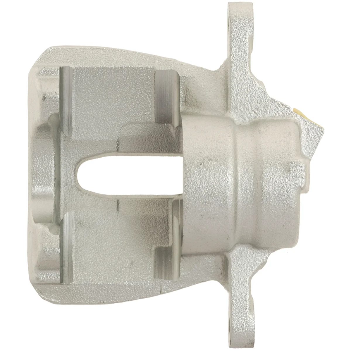 Jarrusatula sopii Citroen